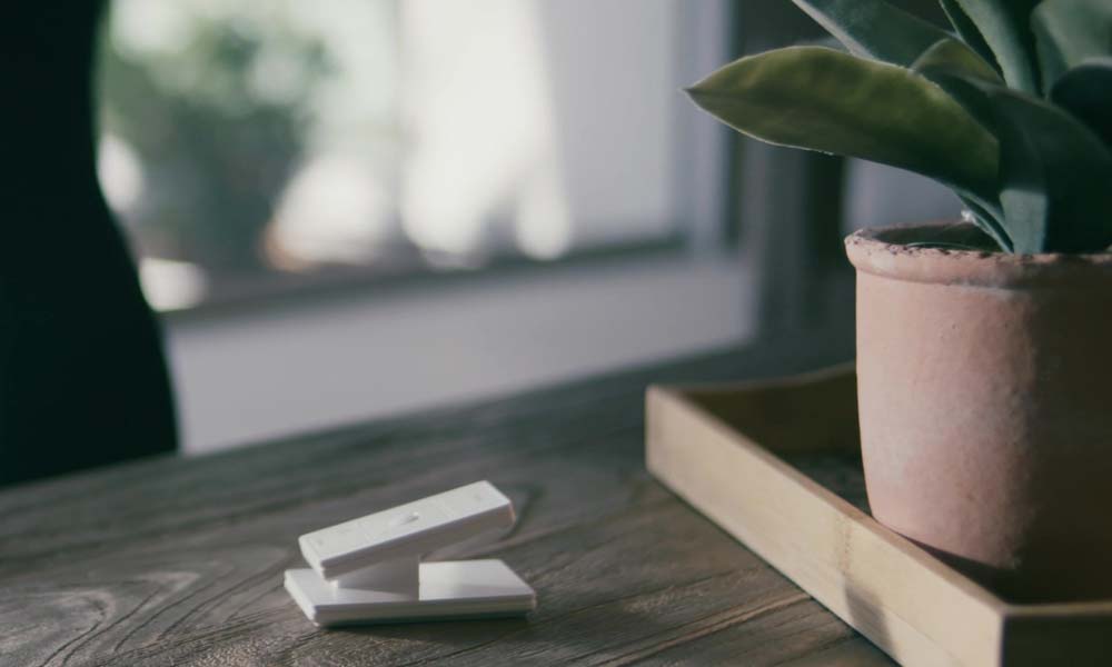 Pair of slim white remote controls stacked on a wood table beside a potted plant on a tray, suggesting easy wireless operation of motorized shades.